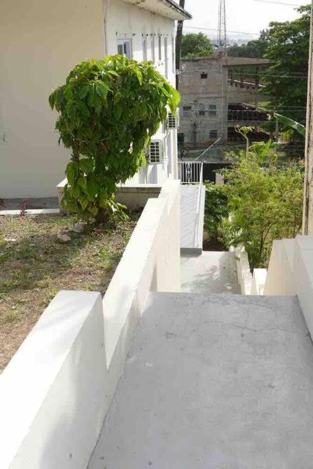 The Shelton Tower 1 Appartement Montego Bay Buitenkant foto
